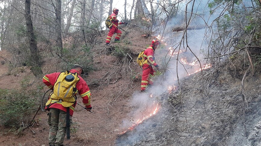 Shqipëri  zjarri në Riban të Mallakastrës merr përmasa  rrezikon masivin pyjor të Lofkëndit
