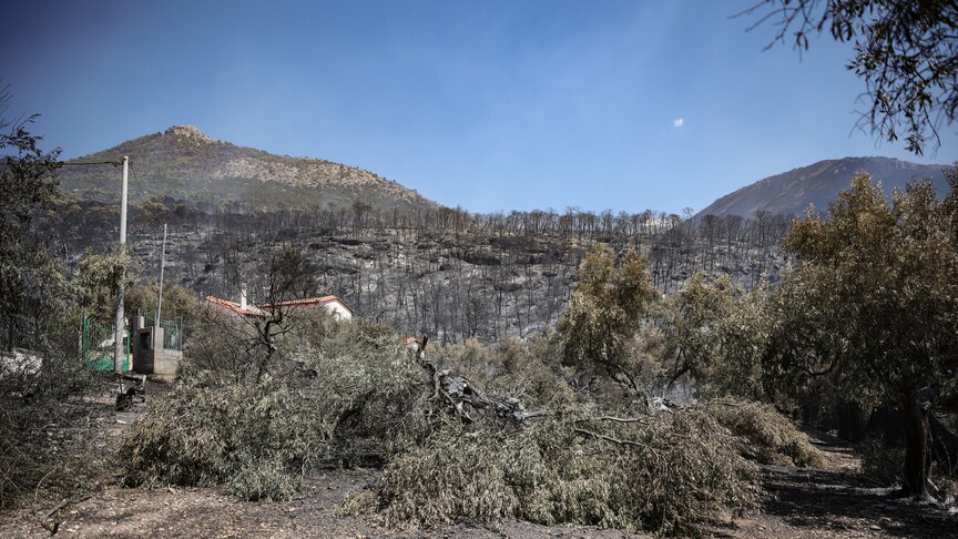 Yunanistan'da son dönemdeki yangınlarda 118 bina kullanılamaz hale geldi