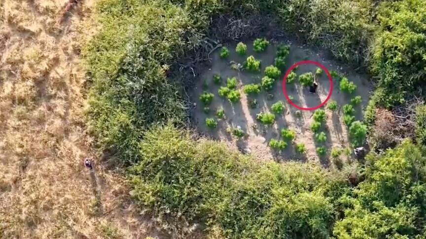 28 ildeki uyuşturucu operasyonlarında yakalanan 69 şüpheli tutuklandı haber görseli