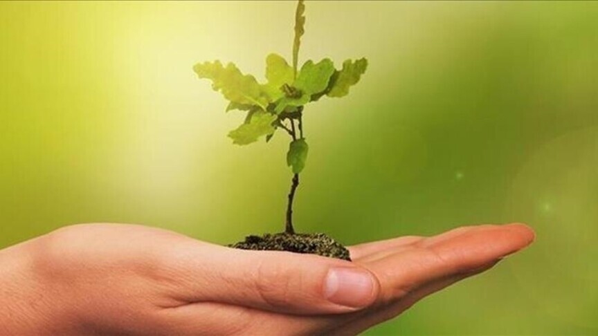 COP31 Gençlik İklim Ideathonu başvuruları başladı haber görseli