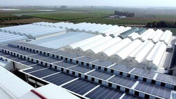 DOSYA: Tarımda Yenilenebilir Enerji Atağı