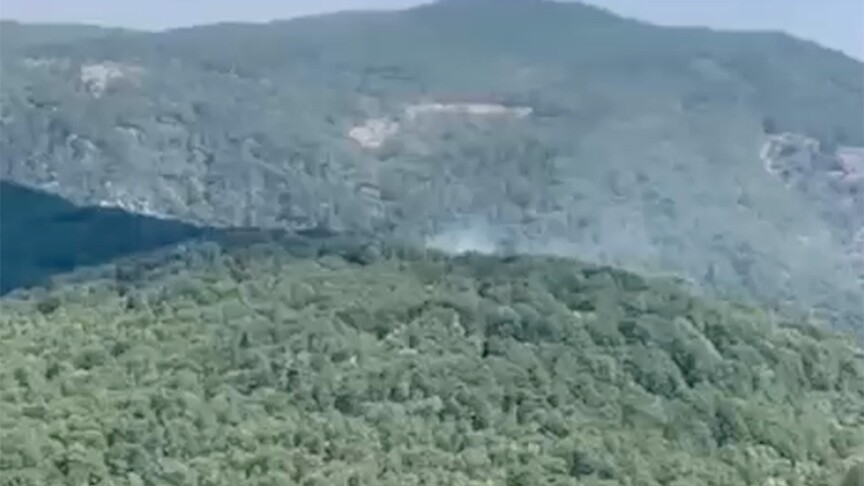 Edremit'te çıkan orman yangını kontrol altına alındı haber görseli