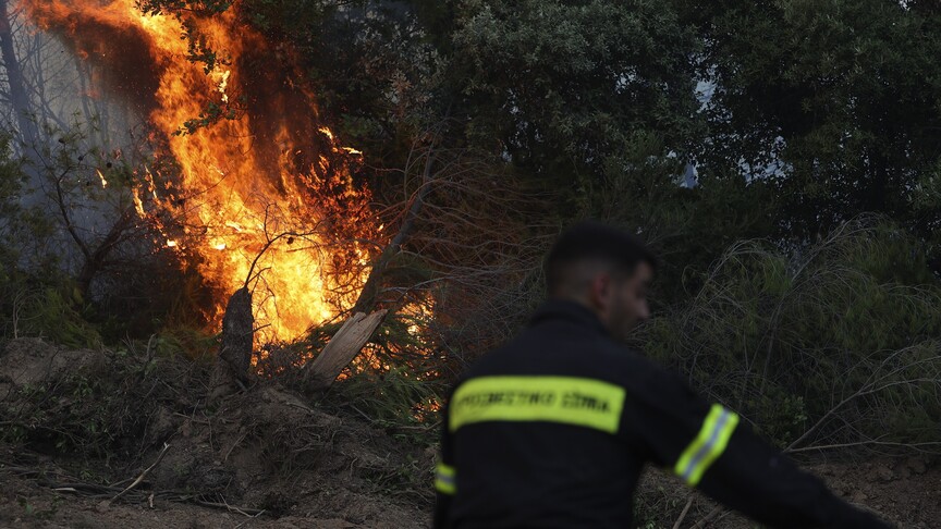 Yunanistan'ın Eğriboz Adası ve Meriç ilinde orman yangınları çıktı haber görseli