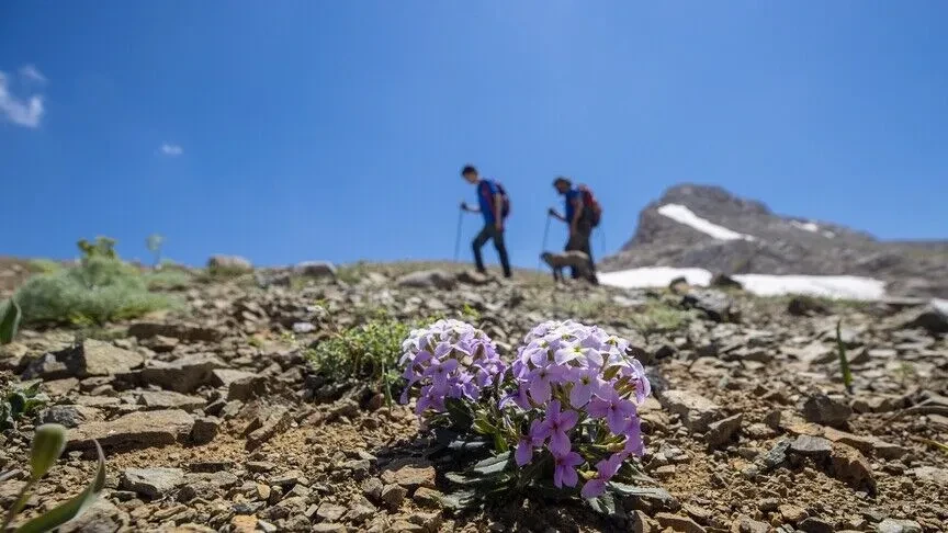 Gjenden trupat e dy alpinistëve belgë të zhdukur që nga viti 1992 në Alpet e Zvicrës