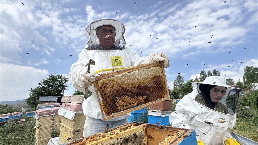 Ardahan'da yaylalardan sofralara uzanan bal mesaisinde sona gelindi haber görseli