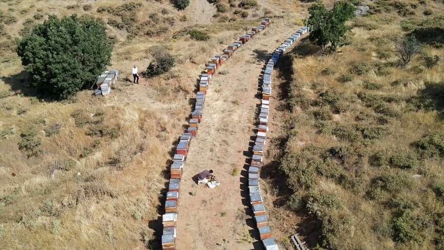 Geven balında hasat mesaisi başladı haber görseli