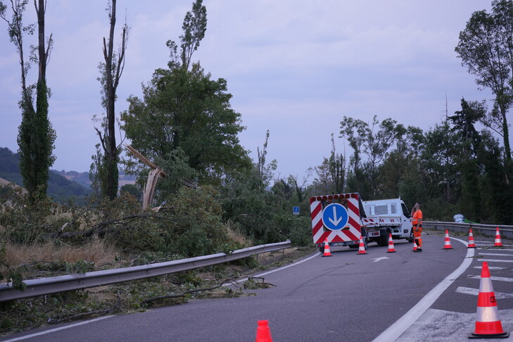 Stuhitë e forta me bubullima lënë gati 26 000 familje pa energji elektrike në Francën juglindore
