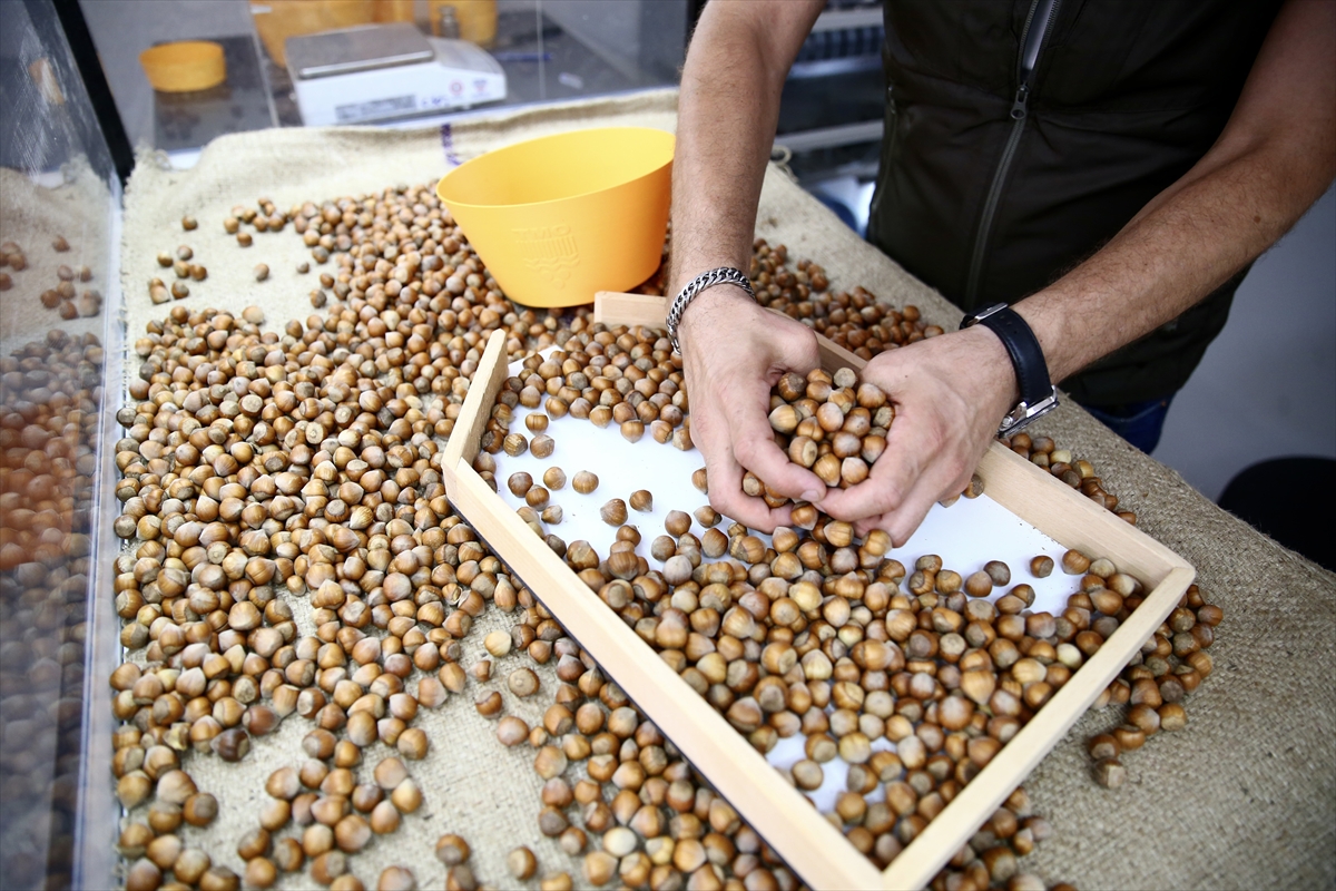 Tek tek teslim ettiler! Üreticilerin gözü buradaydı... Ve alımlar başladı