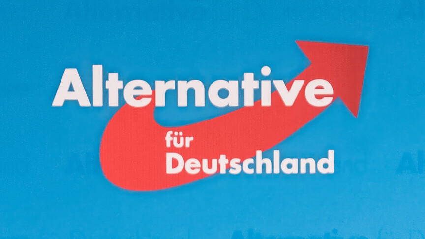 Almanya'da eyalet seçimleri öncesi aşırı sağcı AfD yükselişte haber görseli