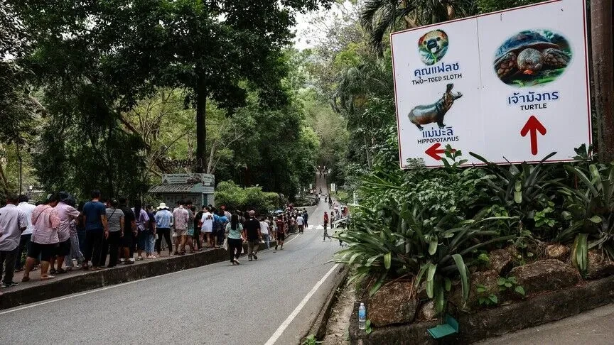 Pronarija e kopshtit zoologjik në Tajlandë ngre padi për kërcënime nga vizitorë izraelitë