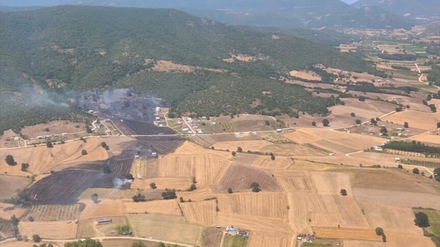 Bursa'da ve İzmir'de çıkan orman yangınlarına müdahale ediliyor haber görseli