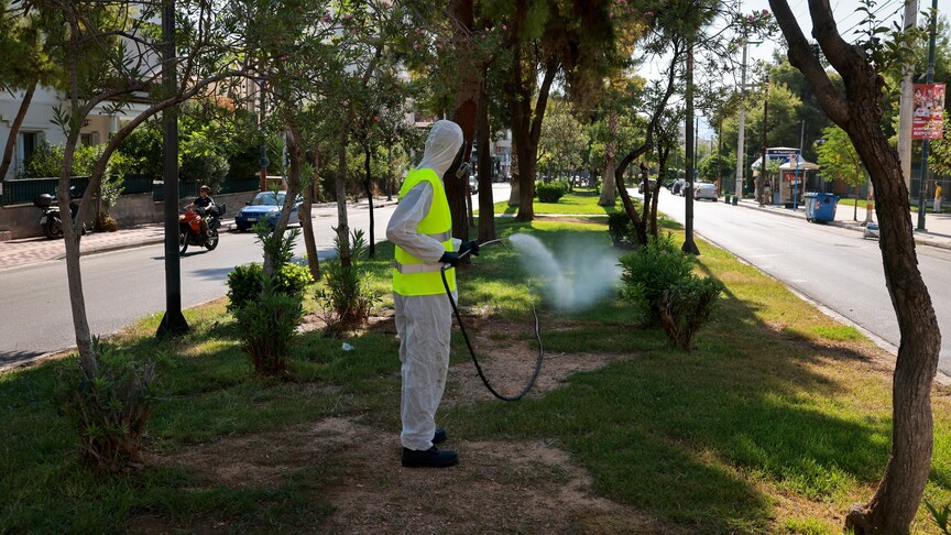 Yunan uzman, Batı Nil virüsü vakalarının en çok ağustos sonunda görüldüğünü söyledi haber görseli