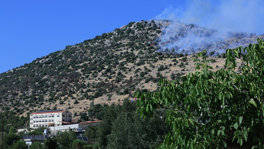 İsrail'in insandışılaştırma politikası: Lübnan'da küller, Negev'de timsahlar haber görseli