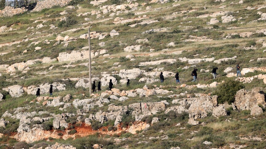 الضفة.. إصابة فلسطيني باعتداء مستوطنين قرب بيت لحم
