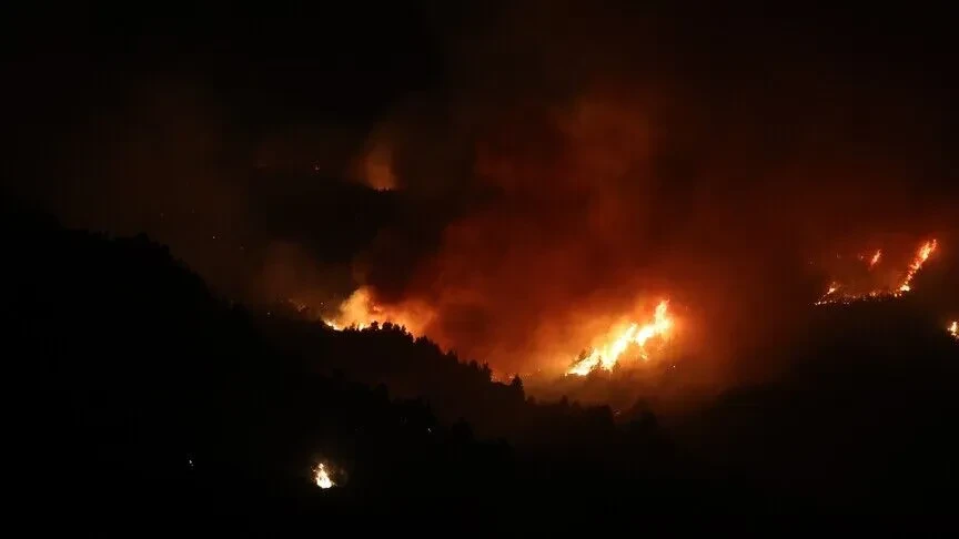 Turqia shpreh ngushëllime për viktimat në Algjeri pas zjarreve vdekjeprurëse