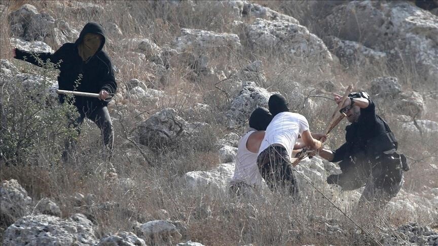 بينهم طفلان.. إصابة 3 فلسطينيين باعتداء مستوطنين في الضفة