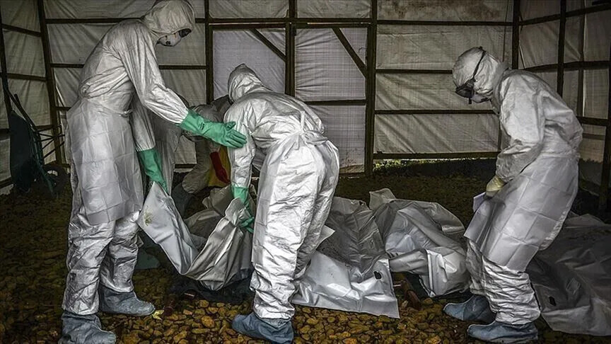 Rritet në mbi 2 800 numri i të vdekurve nga Ebola në RD të Kongos