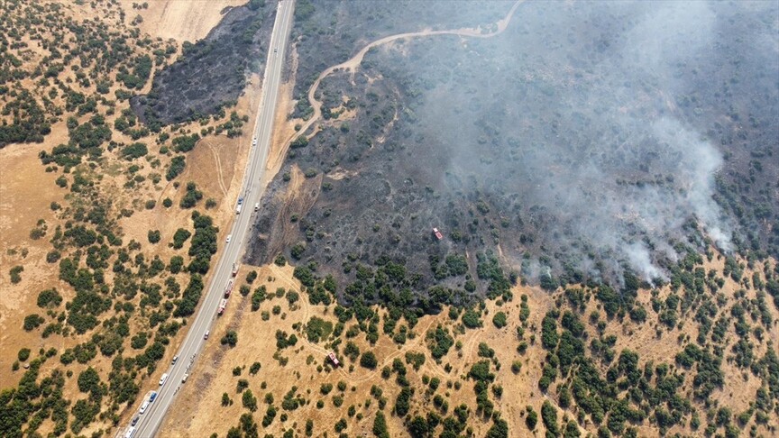 Elazığ'da ormana sıçrayan yangın söndürüldü haber görseli