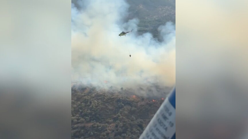 Aydın, Antalya ve Bolu'daki orman yangınlarına müdahale ediliyor haber görseli