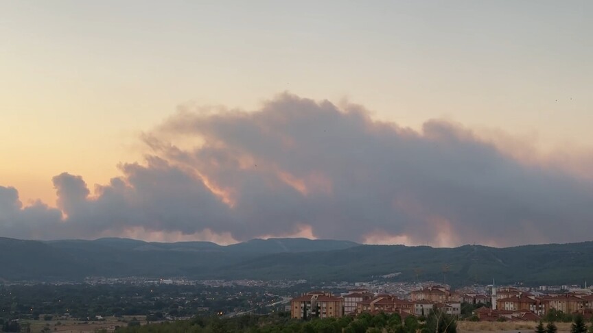Muğla'da çıkan orman yangınına müdahale ediliyor haber görseli