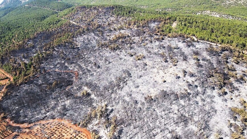 Muğla'da yanan ormanlık alan havadan görüntülendi haber görseli