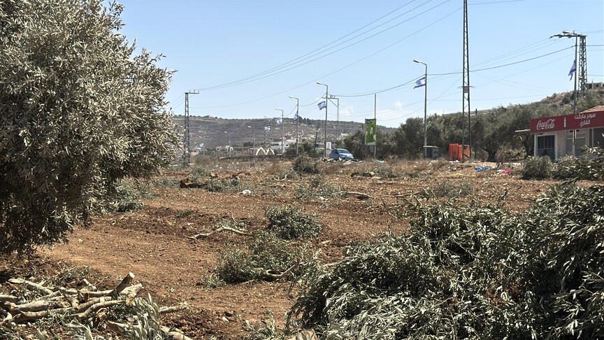 Israeli rights groups hail UK trade measures against illegal settlements, call for wider action