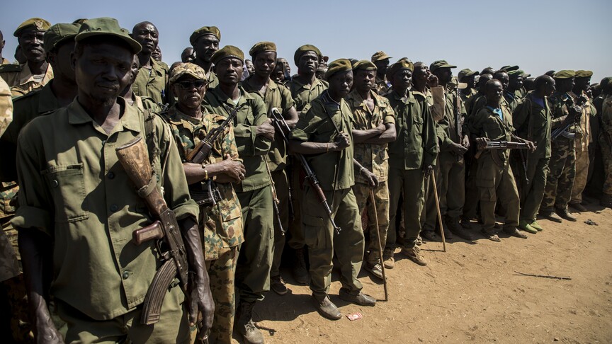 Sudanese Army Says It Captured 11 Areas in North Kordofan State