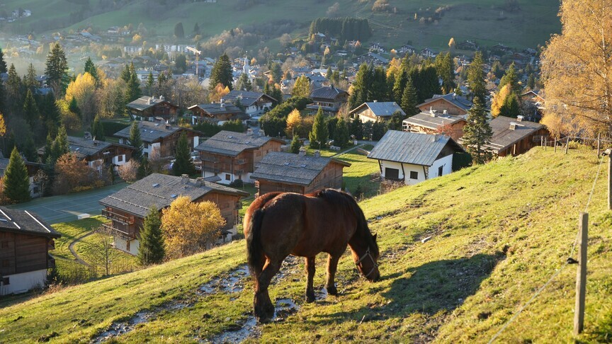 Swiss Report Warns Exit From Schengen/Dublin Could Cost Economy Billions by 2035