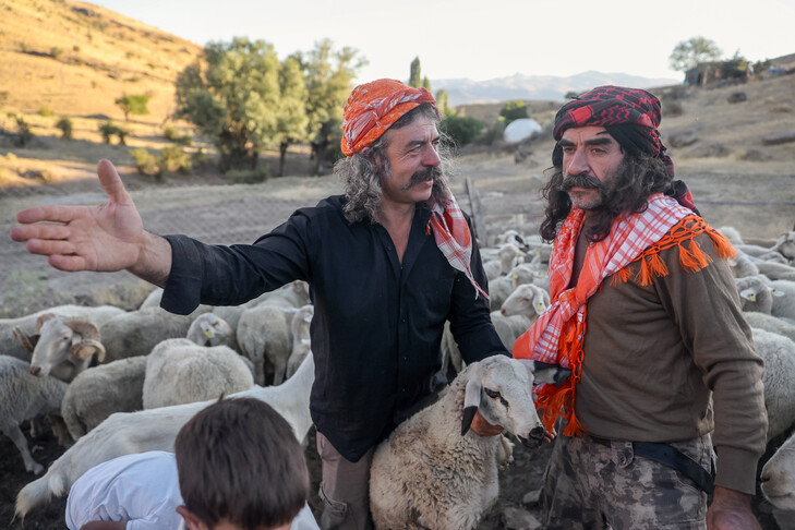 Vëllezërit ruajnë traditën nomade në pllajat e Anadollit  Jeta në qytet nuk është për ne