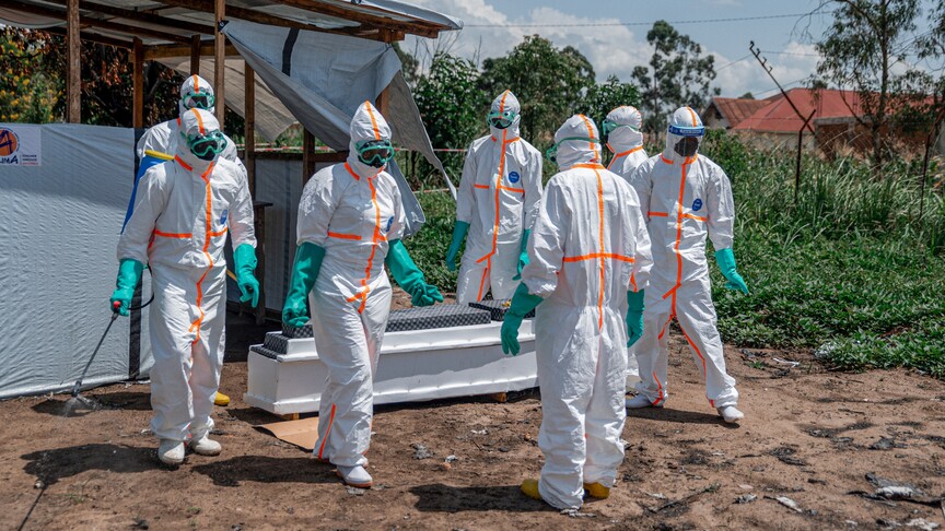 Nijerya, Kongo Demokratik Cumhuriyeti'ndeki Ebola salgını nedeniyle yüksek alarm durumuna geçti haber görseli