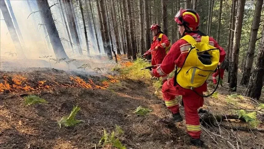 Forcat e Armatosura të Shqipërisë angazhohen në operacionet për shuarjen e zjarreve në Fier dhe Durrës