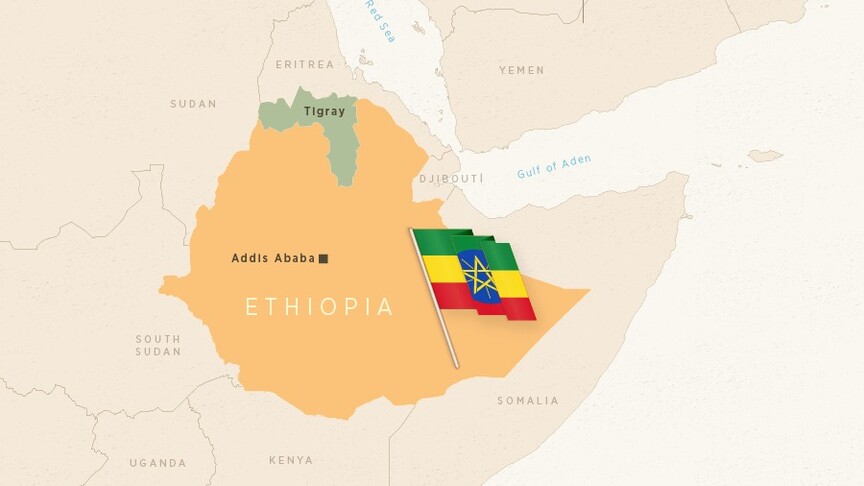 TPLF Forces Take Control of Airport in Ethiopia's Tigray Region Amid Rising Tensions