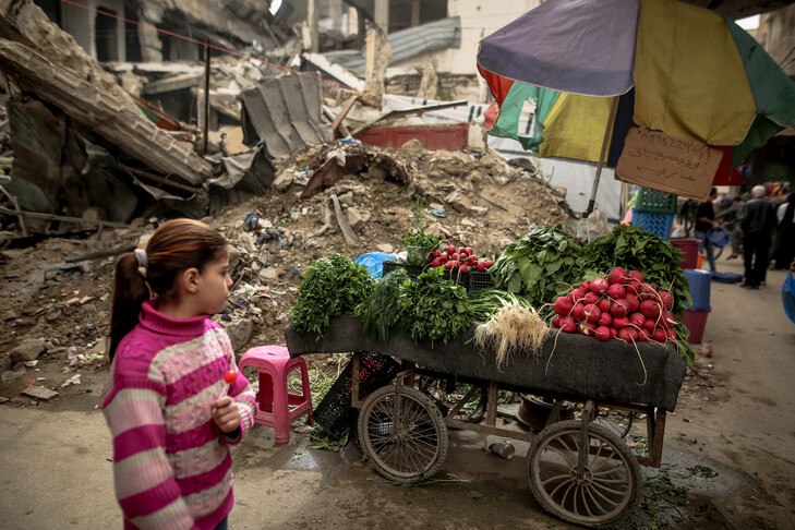 Report: Gaza economy has entered world's 'most severe crisis on record': UN report