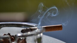 Gebelikte sigara dumanına maruziyette
