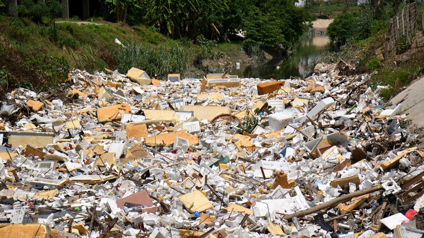 Greece and Greek Cypriot administration referred to EU's top court over waste management