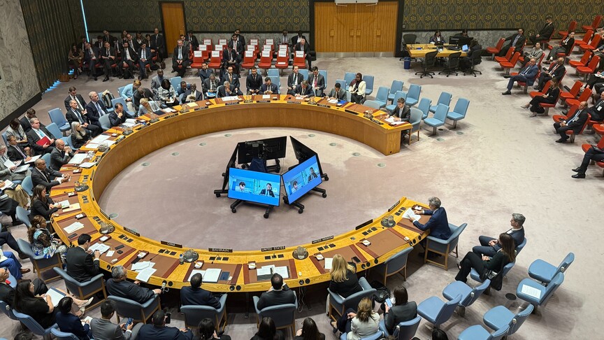 BM Güvenlik Konseyi, Guterres'in yerine önerilecek aday için 5. kez ön oylama yaptı