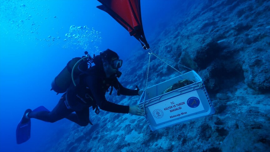 Amfora të lashta 4 700 vjet zbulohen pranë ishullit Kekova të Turqisë