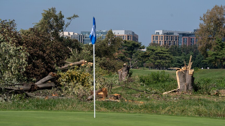 ABD'de yargıç, Trump yönetiminin Washington'daki golf sahasında yaptığı ağaç kesimini durdurdu haber görseli