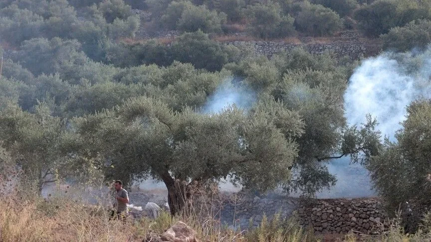 Pushtuesit izraelitë u vënë zjarrin ullinjve  ndërsa ushtria dëbon fermerët palestinezë në Bregun Perëndimor të pushtuar