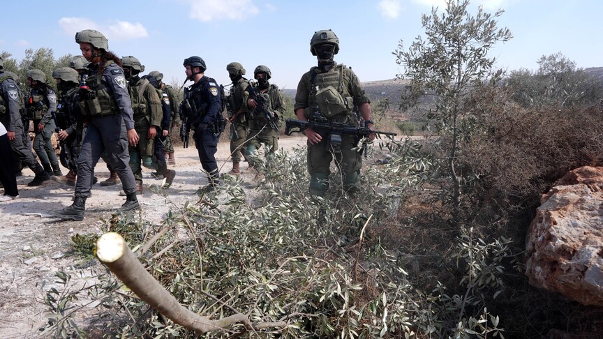 حملة فلسطينية: الجيش الإسرائيلي يحتجز 11 متضامنًا أجنبيا جنوبي الضفة