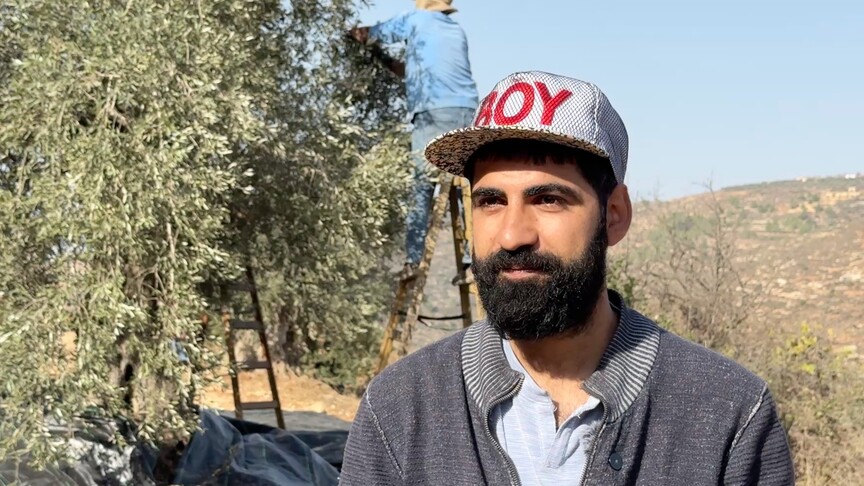 Zeytin hasadı yapan Filistinli Emir tüm baskılara rağmen topraklarını terk etmeyeceğini Türkçe anlattı haber görseli