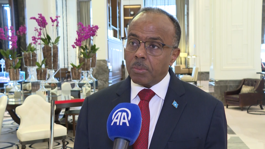 Somalili Devlet Bakanı Omar, arabuluculuğun krizleri çözmek için önemli olduğunu söyledi haber görseli