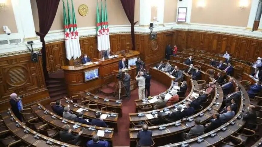 لماذا قررت الجزائر إرسال وحدة عسكرية إلى النيجر؟