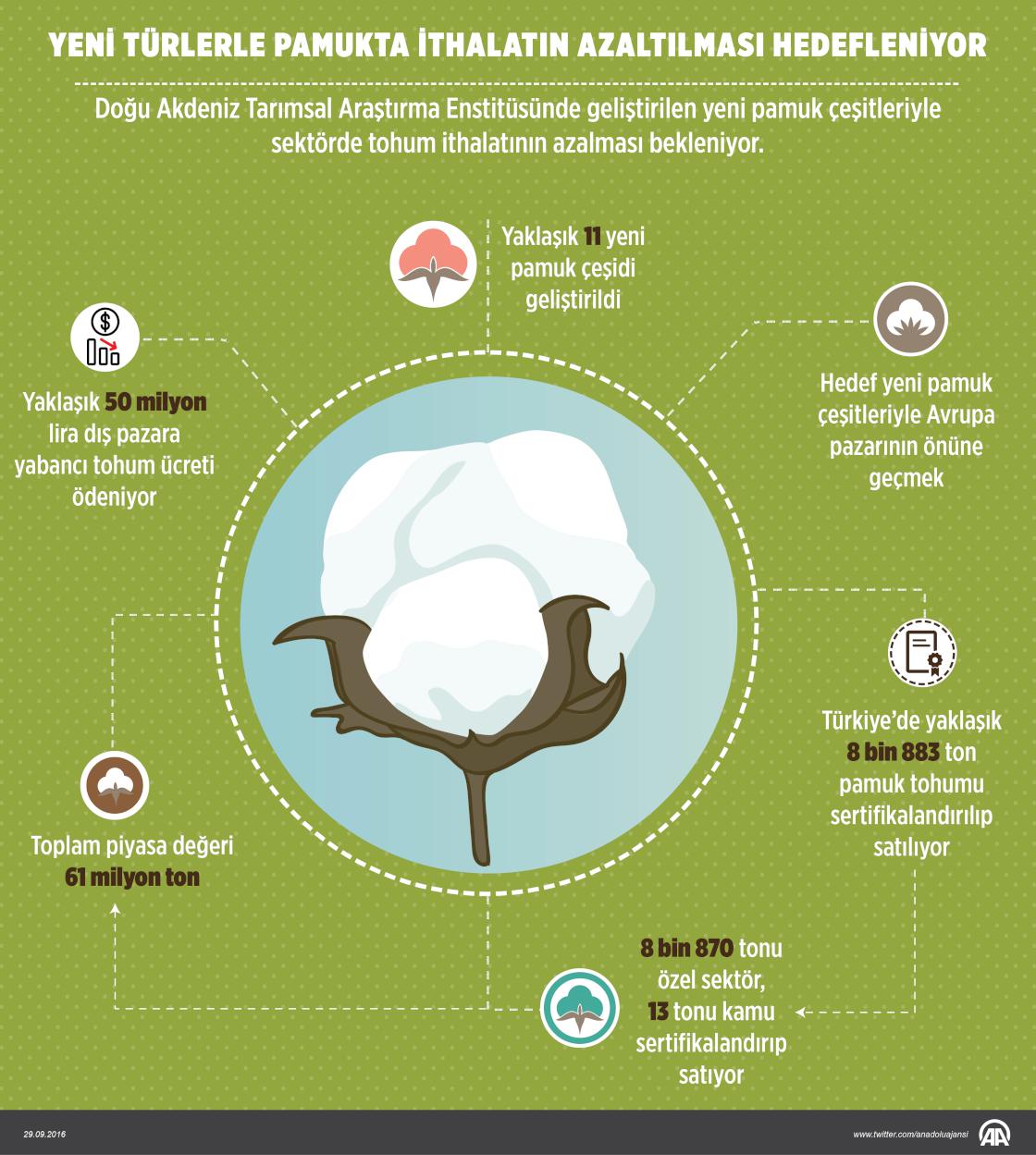 Yeni türlerle pamukta ithalatın azaltılması hedefleniyor