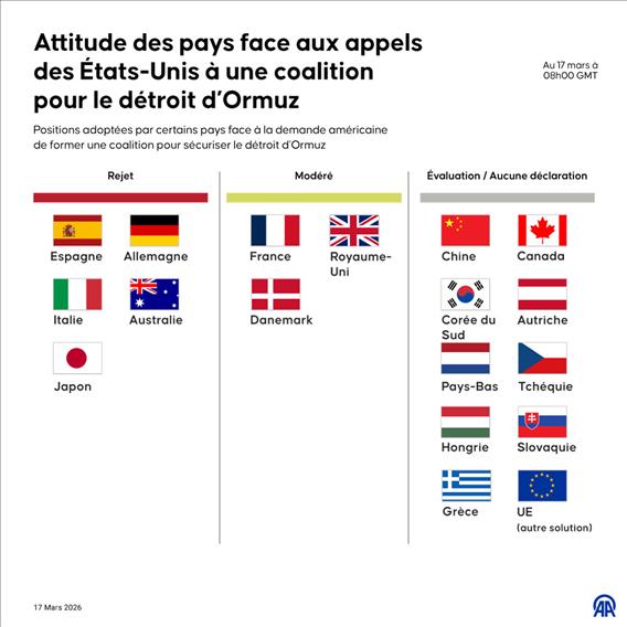 Coalition d’Ormuz : des positions contrastées