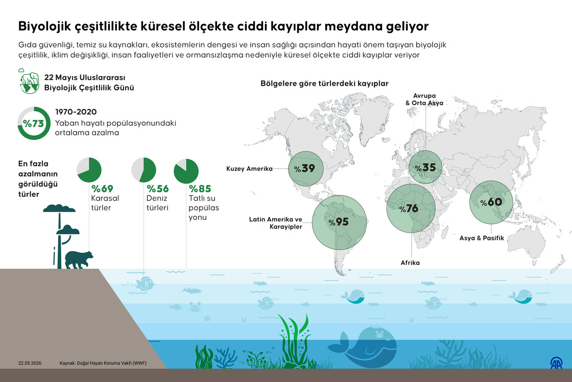 Biyolojik çeşitlilikte küresel ölçekte ciddi kayıplar meydana geliyor