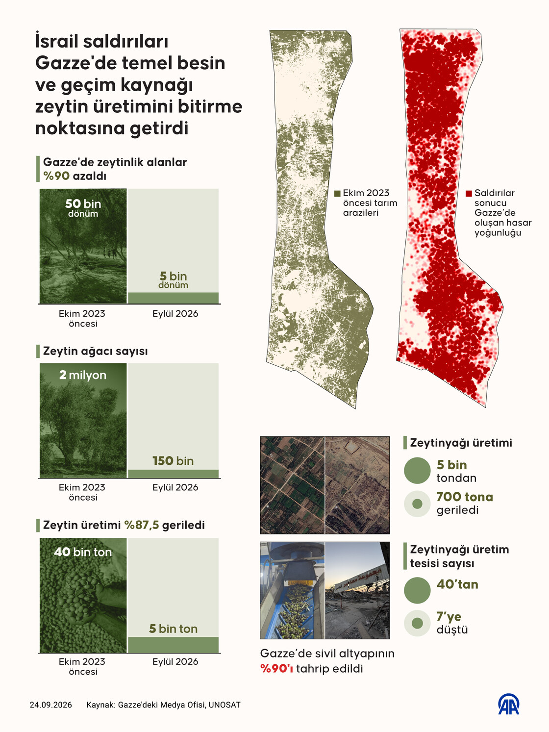 İsrail saldırıları Gazze'de temel besin ve geçim kaynağı zeytin üretimini bitirme noktasına getirdi