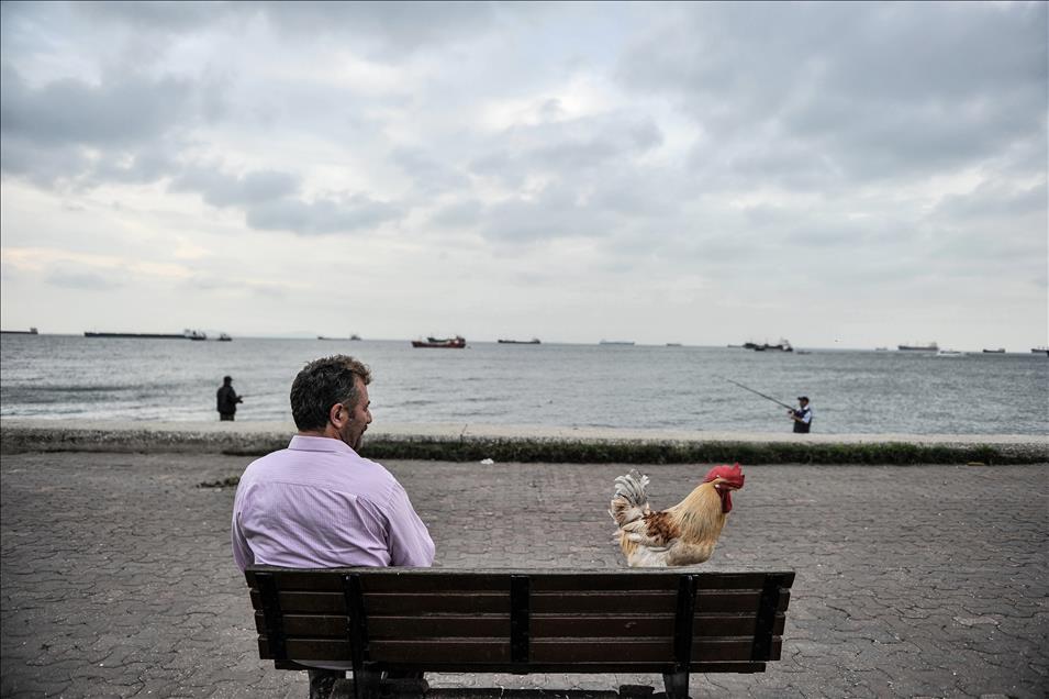 "Bu Behlül başka Behlül"