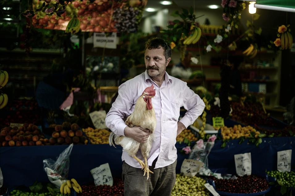 "Bu Behlül başka Behlül"