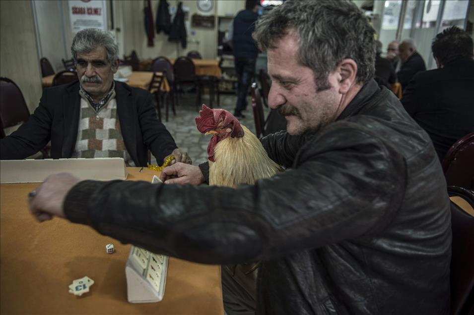 "Bu Behlül başka Behlül"